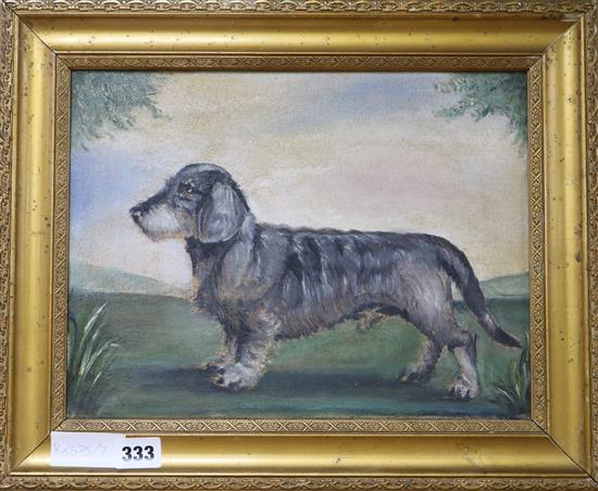 English School, oil on canvas, Naive study of a long haired daschund, 24 x 32cm